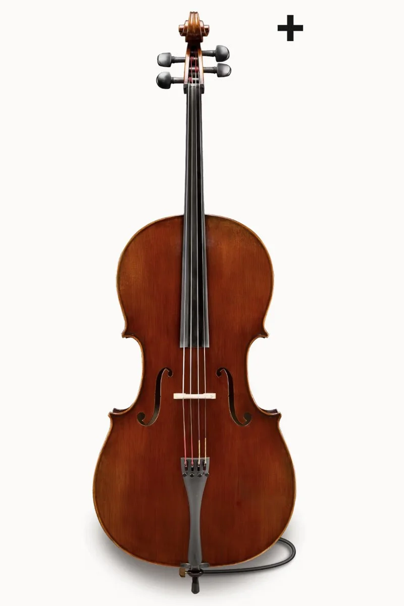 Andreas Eastman Series+ VL405+ VIOLIN — Vermont Violins